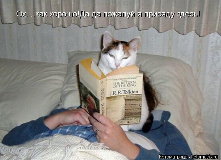 Ох....как хорошо!Да,да пожалуй я присяду здесь!... Котоматрица: Ох....как хорошо!Да,да пожалуй я присяду здесь!