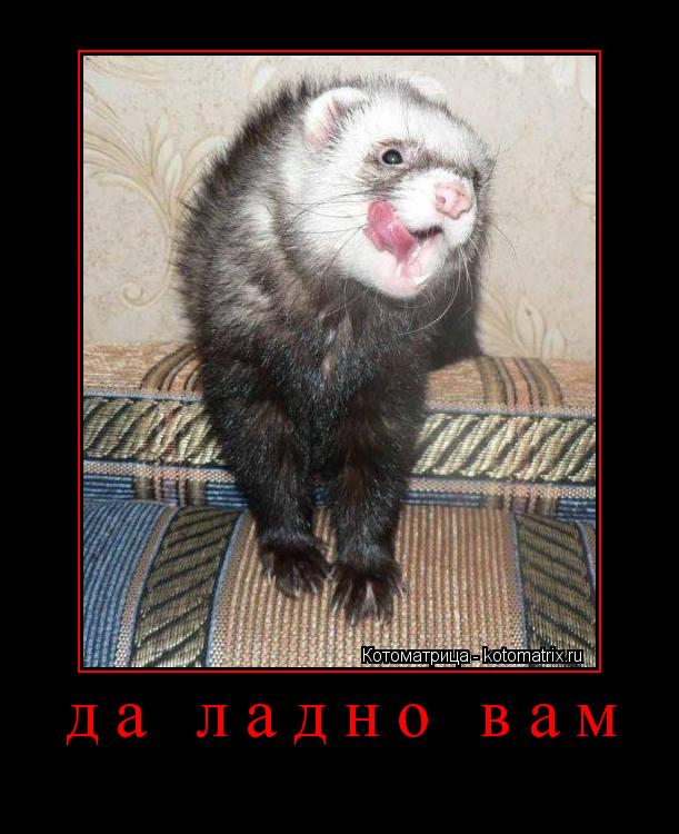 да ладно вам ... Котоматрица: да ладно вам