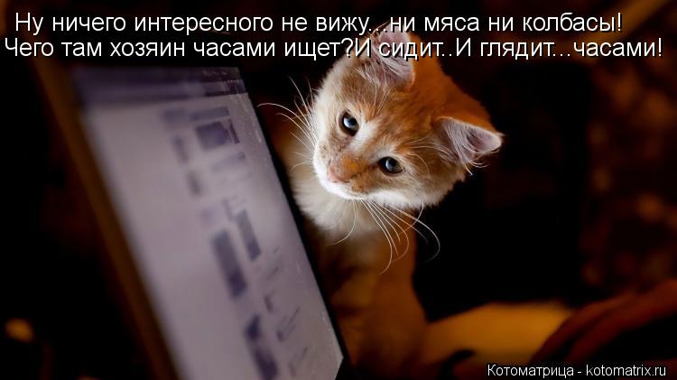 Котоматрица: Ну ничего интересного не вижу...ни мяса ни колбасы! Чего там хозяин часами ищет?И сидит..И глядит...часами!