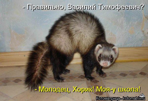 Котоматрица: - Правильно, Василий Тимофеевич?  - Молодец, Хорик! Моя-у школа!
