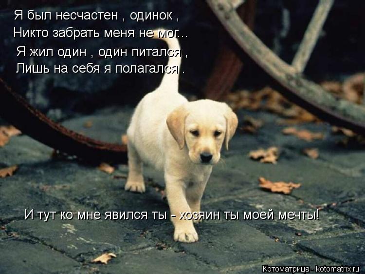 Котоматрица: Я был несчастен , одинок ,  Никто забрать меня не мог... Я жил один , один питался ,  Лишь на себя я полагался . И тут ко мне явился ты - хозяин ты м