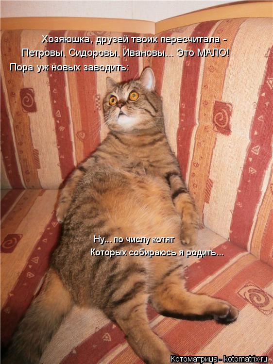 Петровы, Сидоровы, Ивановы... Это МАЛО! Пора уж новых заводить: Которых собираюсь я родить... Ну... п... Котоматрица: Петровы, Сидоровы, Ивановы... Это МАЛО! Пора уж новых заводить: Которых собираюсь я родить... Ну... по числу котят Хозяюшка, друзей твоих пересч