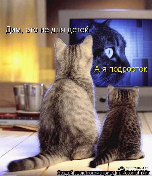 Дим, это не для детей. А я подросток... Котоматрица: Дим, это не для детей. А я подросток