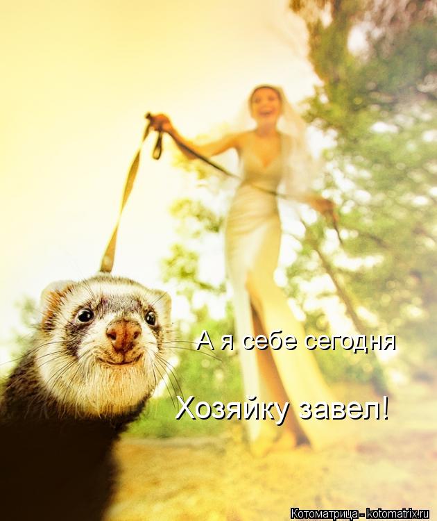 Котоматрица: А я себе сегодня Хозяйку завел!