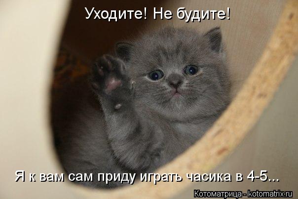 Уходите! Не будите! Я к вам сам приду играть часика в 4-5...... Котоматрица: Уходите! Не будите! Я к вам сам приду играть часика в 4-5...