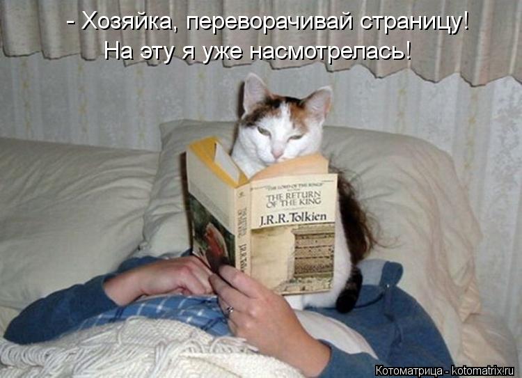 Котоматрица: - Хозяйка, переворачивай страницу! На эту я уже насмотрелась!