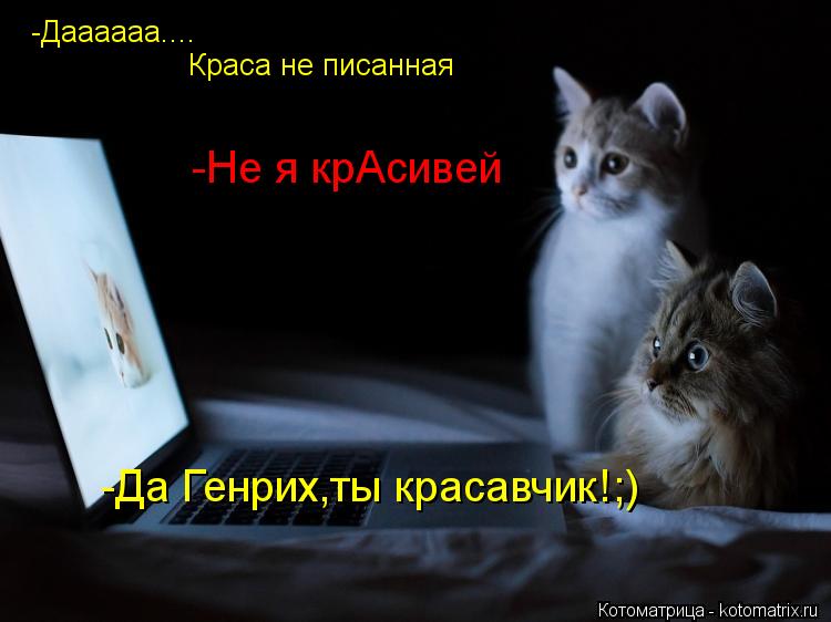 -Даааааа.... Краса не писанная -Не я крАсивей -Да Генрих,ты красавчик!;)... Котоматрица: -Даааааа.... Краса не писанная -Не я крАсивей -Да Генрих,ты красавчик!;)