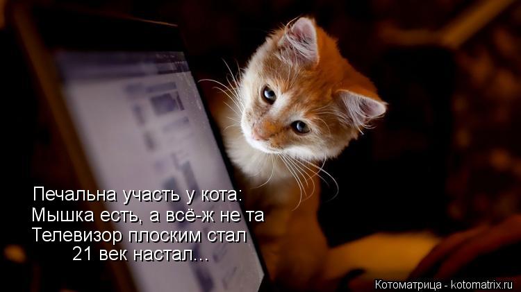 Котоматрица: Печальна участь у кота: Мышка есть, а всё-ж не та Телевизор плоским стал 21 век настал...
