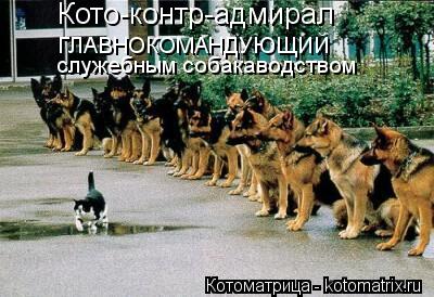 Котоматрица: Кото-контр-адмирал ГЛАВНОКОМАНДУЮЩИЙ служебным собакаводством