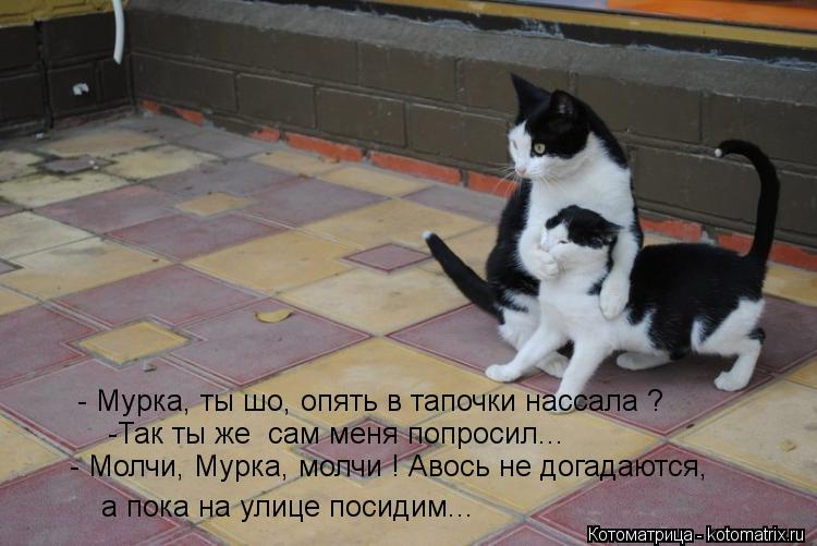 - Мурка, ты шо, опять в тапочки нассала ? а пока на улице посидим... -Так ты же сам меня попросил...... Котоматрица: - Мурка, ты шо, опять в тапочки нассала ? а пока на улице посидим... -Так ты же сам меня попросил... - Молчи, Мурка, молчи ! Авось не догадаются,