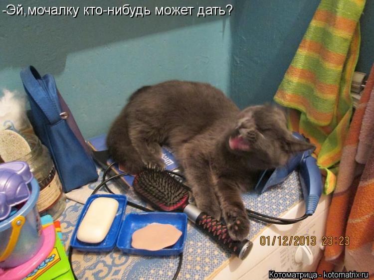 -Эй,мочалку кто-нибудь может дать?... Котоматрица: -Эй,мочалку кто-нибудь может дать?