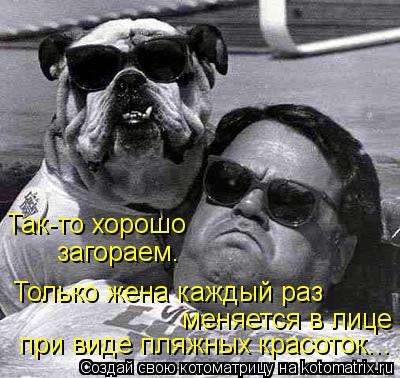 Котоматрица: Так-то хорошо загораем. Только жена каждый раз меняется в лице при виде пляжных красоток...