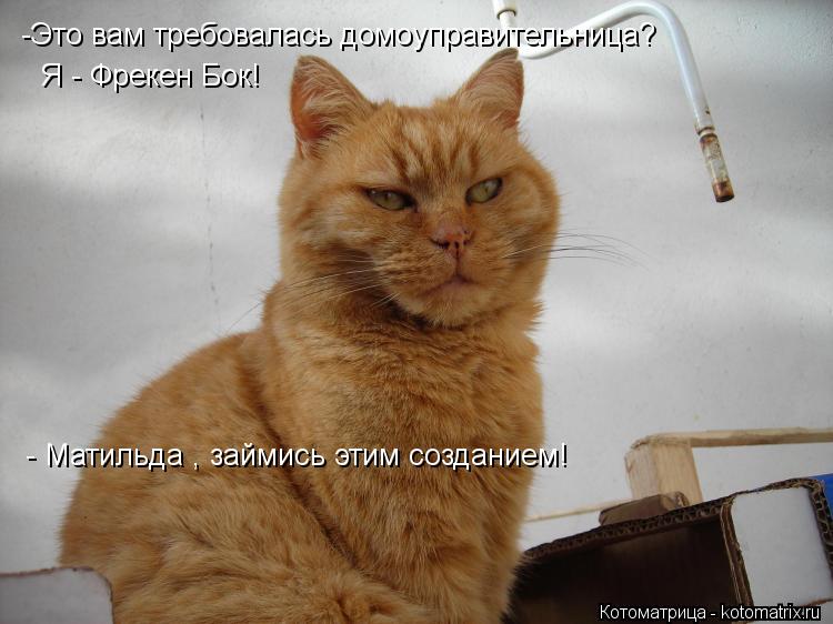 Котоматрица: -Это вам требовалась домоуправительница? Я - Фрекен Бок! - Матильда , займись этим созданием!