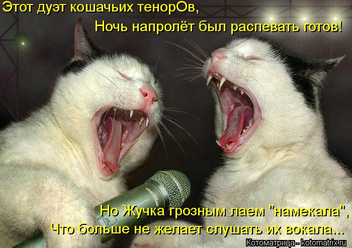 Котоматрица: Этот дуэт кошачьих тенорОв, Ночь напролёт был распевать готов! Что больше не желает слушать их вокала... Но Жучка грозным лаем "намекала",