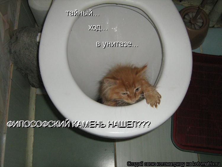 тайный... ход... в унитазе... ФИЛОСОФСКИЙ КАМЕНЬ НАШЕЛ??? ФИЛОСОФСКИЙ КАМЕНЬ НАШЕЛ???... Котоматрица: тайный... ход... в унитазе... ФИЛОСОФСКИЙ КАМЕНЬ НАШЕЛ??? ФИЛОСОФСКИЙ КАМЕНЬ НАШЕЛ???