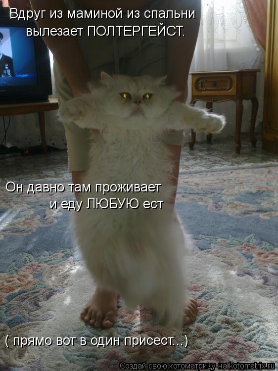 Котоматрица: Вдруг из маминой из спальни  вылезает ПОЛТЕРГЕЙСТ. Он давно там проживает и еду ЛЮБУЮ ест ( прямо вот в один присест...)