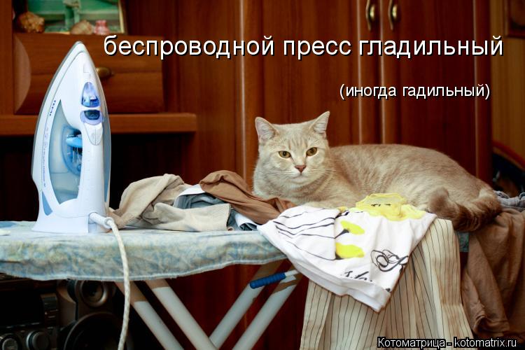 беспроводной пресс гладильный (иногда гадильный)... Котоматрица: беспроводной пресс гладильный (иногда гадильный)