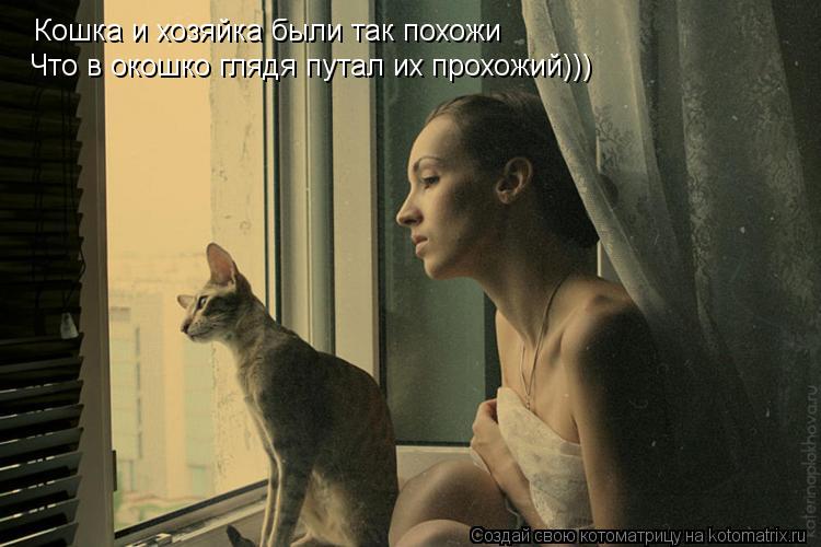 Котоматрица: Кошка и хозяйка были так похожи Что в окошко глядя путал их прохожий)))