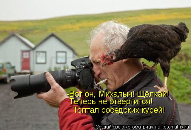 -Вот он, Михалыч! Щёлкай! Теперь не отвертится! Топтал соседских курей!... Котоматрица: -Вот он, Михалыч! Щёлкай! Теперь не отвертится! Топтал соседских курей!