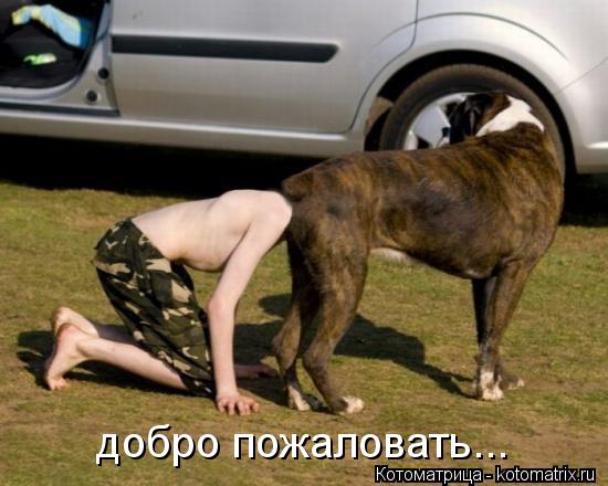 Котоматрица: добро пожаловать...
