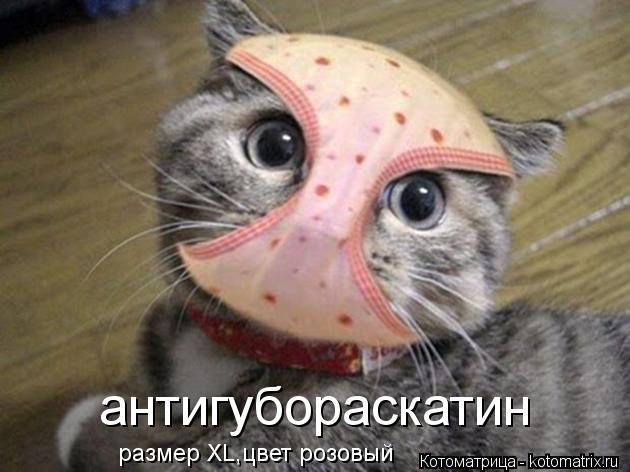 антигубораскатин размер XL,цвет розовый... Котоматрица: антигубораскатин размер XL,цвет розовый