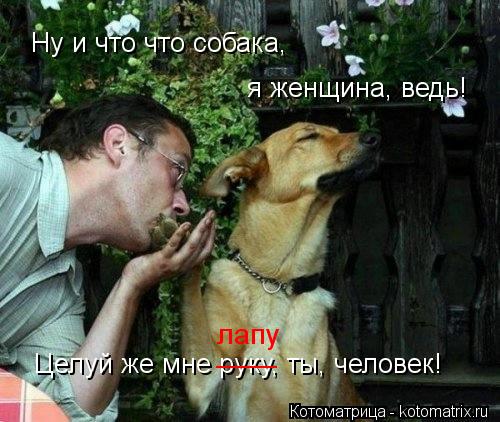 Ну и что что собака, я женщина, ведь! Целуй же мне руку, ты, человек! ____ лапу... Котоматрица: Ну и что что собака, я женщина, ведь! Целуй же мне руку, ты, человек! ____ лапу