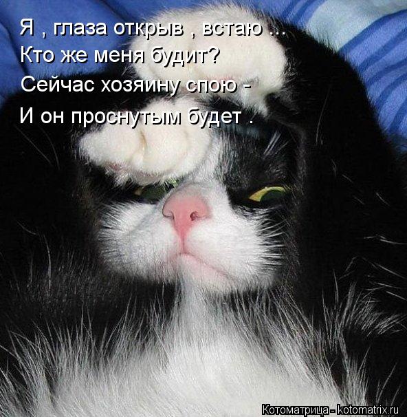 Я , глаза открыв , встаю ... Кто же меня будит? Сейчас хозяину спою - И он проснутым будет .... Котоматрица: Я , глаза открыв , встаю ... Кто же меня будит? Сейчас хозяину спою - И он проснутым будет .