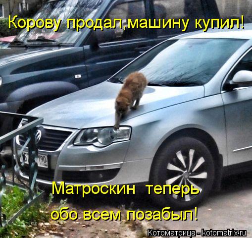 Корову продал,машину купил! Матроскин теперь обо всем позабыл!... Котоматрица: Корову продал,машину купил! Матроскин теперь обо всем позабыл!