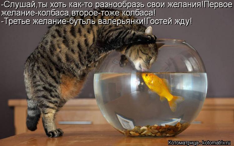Котоматрица: -Слушай,ты хоть как-то разнообразь свои желания!Первое желание-колбаса,второе-тоже колбаса! -Третье желание-бутьль валерьянки!Гостей жду!