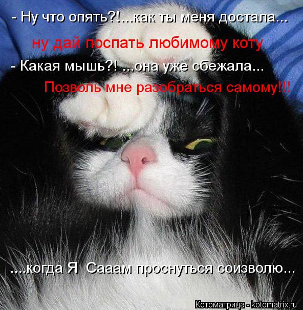 - Ну что опять?!...как ты меня достала... ну дай поспать любимому коту - Какая мышь?! ...она уже сбеж... Котоматрица: - Ну что опять?!...как ты меня достала... ну дай поспать любимому коту - Какая мышь?! ...она уже сбежала... Позволь мне разобраться самому!!! ....когда