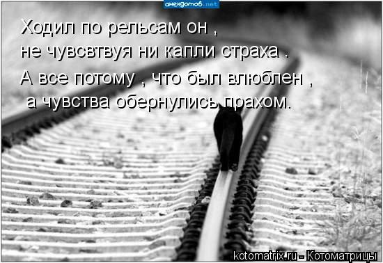 Ходил по рельсам он , не чувсвтвуя ни капли страха . А все потому , что был влюблен , а чувства обе... Котоматрица: Ходил по рельсам он , не чувсвтвуя ни капли страха . А все потому , что был влюблен , а чувства обернулись прахом.