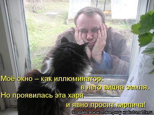 Моё окно – как иллюминатор: в него видна земля. Но проявилась эта харя и явно просит кирпича!... Котоматрица: Моё окно – как иллюминатор: в него видна земля. Но проявилась эта харя и явно просит кирпича!