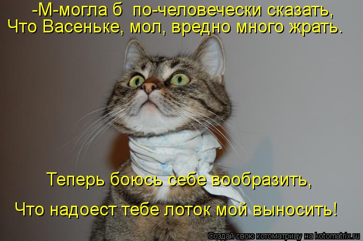 Котоматрица: Что Васеньке, мол, вредно много жрать. Теперь боюсь себе вообразить,  Что надоест тебе лоток мой выносить! -М-могла б  по-человечески сказать,