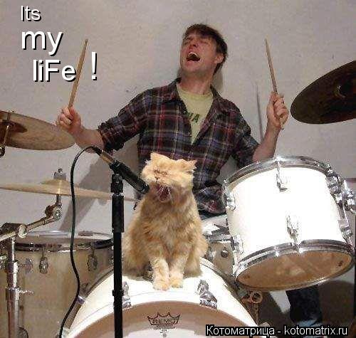 Its my liFe !... Котоматрица: Its my liFe !