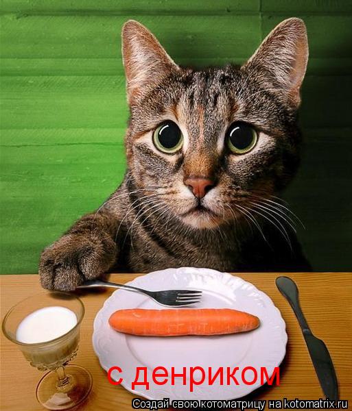 с денриком... Котоматрица: с денриком
