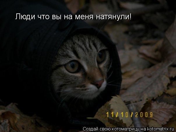 Котоматрица: Люди что вы на меня натянули!