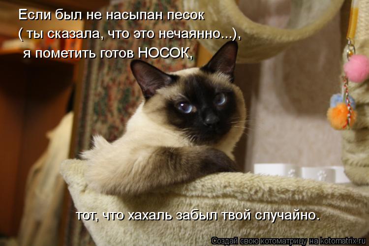 Котоматрица: Если был не насыпан песок ( ты сказала, что это нечаянно...),  я пометить готов НОСОК,  тот, что хахаль забыл твой случайно.