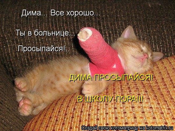 Котоматрица: Дима... Все хорошо... Ты в больнице... Просыпайся!.. ДИМА ПРОСЫПАЙСЯ! В ШКОЛУ ПОРА!!!