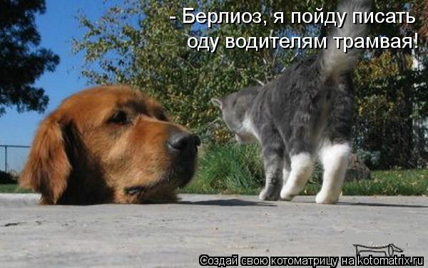 - Берлиоз, я пойду писать оду водителям трамвая!... Котоматрица: - Берлиоз, я пойду писать оду водителям трамвая!