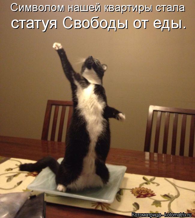 Котоматрица: Символом нашей квартиры стала статуя Свободы от еды.