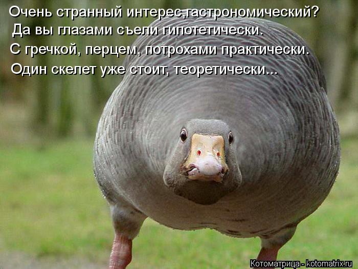 Очень странный интерес,гастрономический? Да вы глазами съели гипотетически. С гречкой, перцем, потрох... Котоматрица: Очень странный интерес,гастрономический? Да вы глазами съели гипотетически. С гречкой, перцем, потрохами практически. Один скелет уже стои