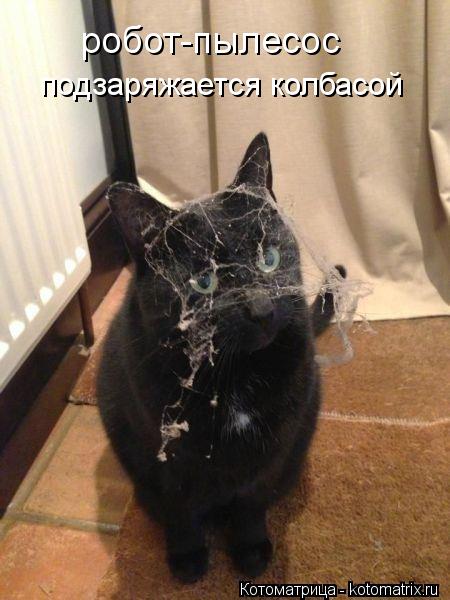 робот-пылесос подзаряжается колбасой... Котоматрица: робот-пылесос подзаряжается колбасой