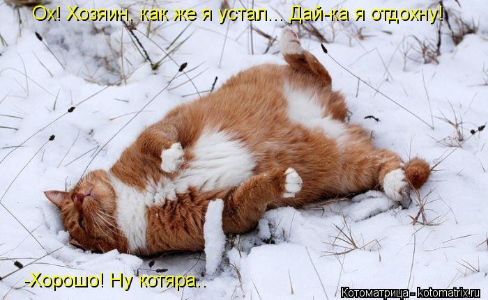 Ох! Хозяин, как же я устал... Дай-ка я отдохну! -Хорошо! Ну котяра..... Котоматрица: Ох! Хозяин, как же я устал... Дай-ка я отдохну! -Хорошо! Ну котяра..