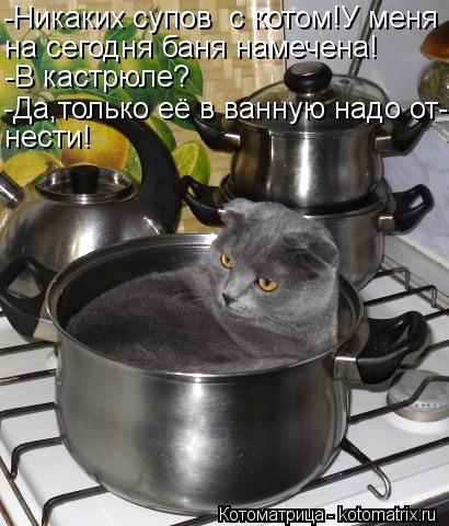 Котоматрица: -Никаких супов  с котом!У меня на сегодня баня намечена! -В кастрюле? -Да,только её в ванную надо от- нести!