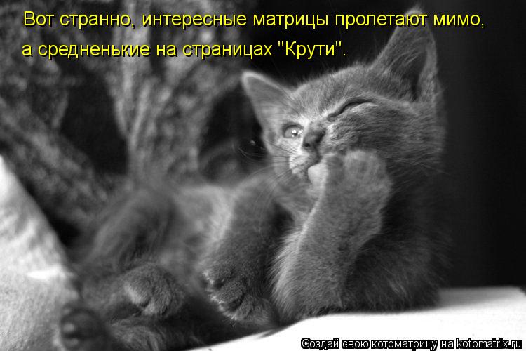 Вот странно, интересные матрицы пролетают мимо, а средненькие на страницах "Крути".... Котоматрица: Вот странно, интересные матрицы пролетают мимо, а средненькие на страницах "Крути".