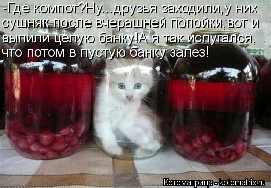 -Где компот?Ну...друзья заходили,у них сушняк после вчерашней попойки,вот и выпили целую банку!А я та... Котоматрица: -Где компот?Ну...друзья заходили,у них сушняк после вчерашней попойки,вот и выпили целую банку!А я так испугался, что потом в пустую банку зал