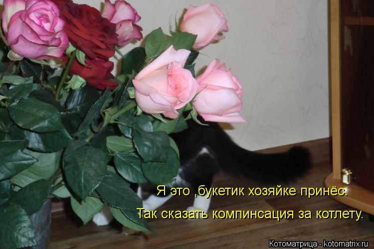 Я это ,букетик хозяйке принёс. Так сказать компинсация за котлету.... Котоматрица: Я это ,букетик хозяйке принёс. Так сказать компинсация за котлету.