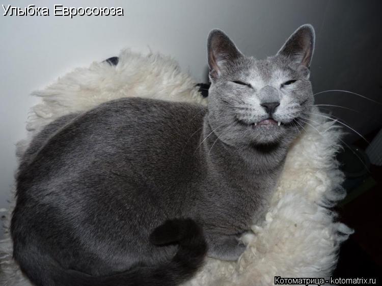 Улыбка Евросоюза... Котоматрица: Улыбка Евросоюза