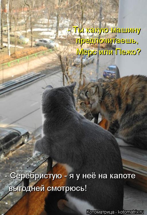 - Ты какую машину предпочитаешь, Мерс или Пежо? - Серебристую - я у неё на капоте выгодней смотрюсь!... Котоматрица: - Ты какую машину предпочитаешь, Мерс или Пежо? - Серебристую - я у неё на капоте выгодней смотрюсь!