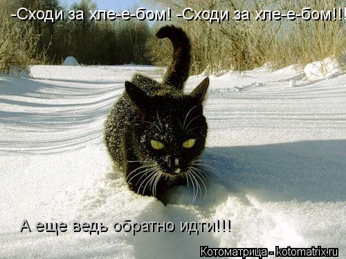 -Сходи за хле-е-бом! -Сходи за хле-е-бом!!! А еще ведь обратно идти!!!... Котоматрица: -Сходи за хле-е-бом! -Сходи за хле-е-бом!!! А еще ведь обратно идти!!!